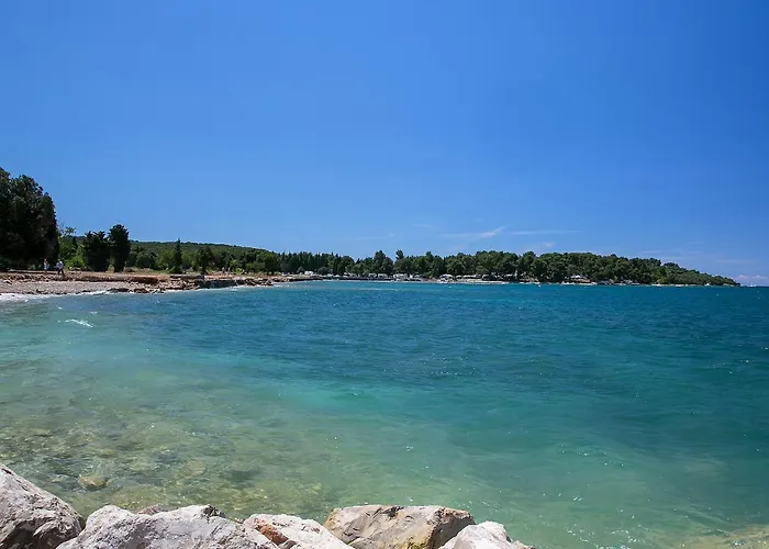 Ivkovic-1 By Interhome *